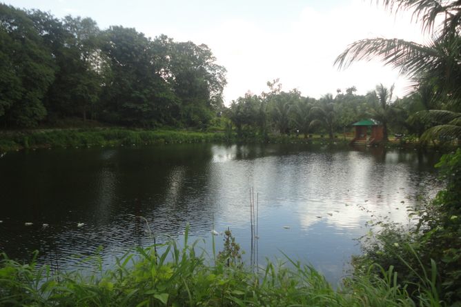 Fishing pond