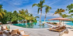 a pool with palm trees and chairs on a deck