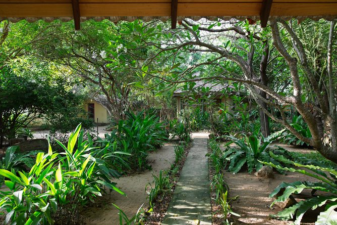 Hidden amidst the foliage
