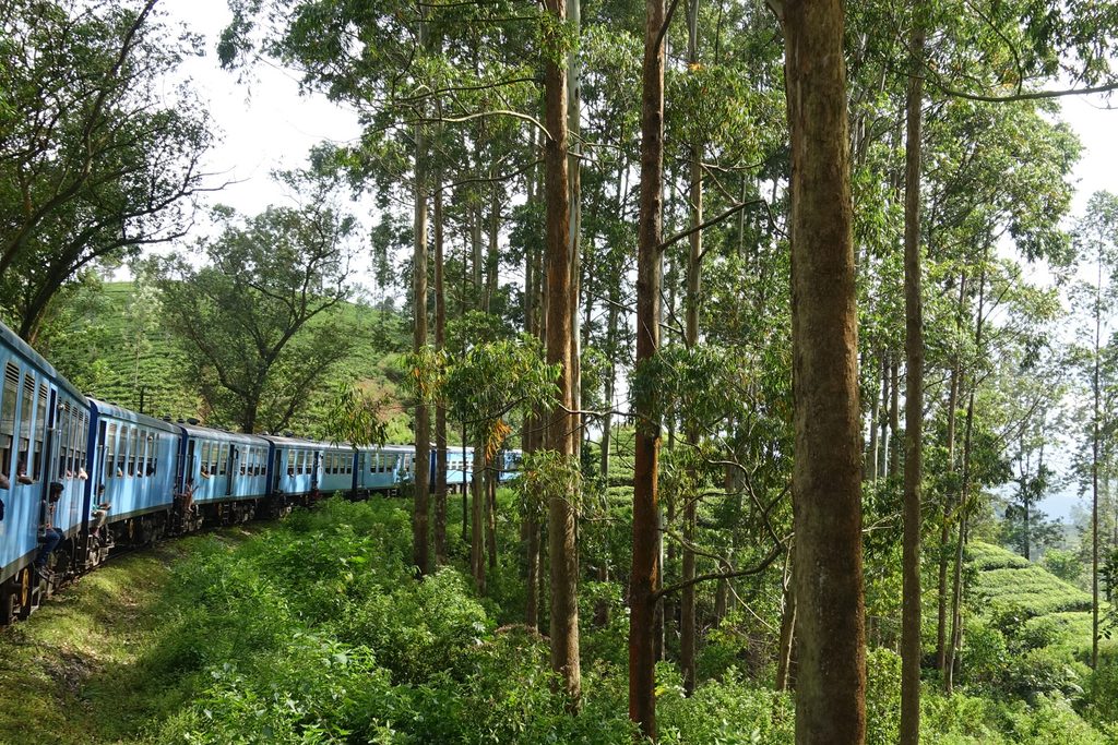 Tea train, Sri Lanka