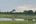a group of birds in a field