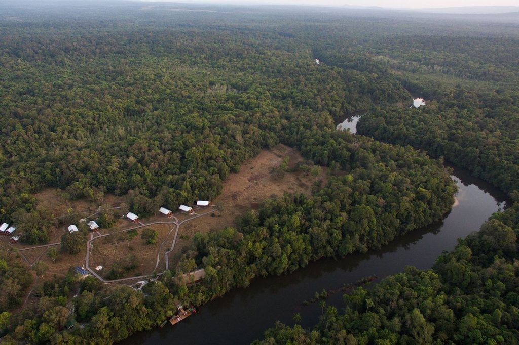 aerial view of a forest and river