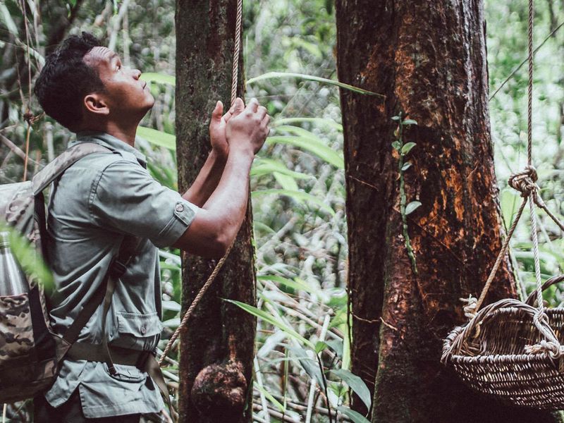 Shinta Mani Wild conservation
