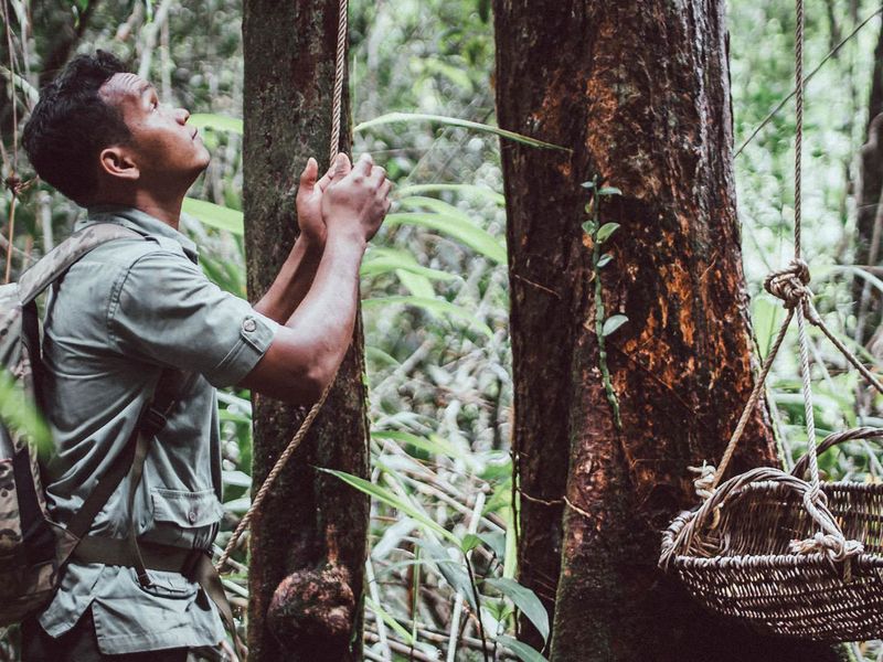 Shinta Mani conservation