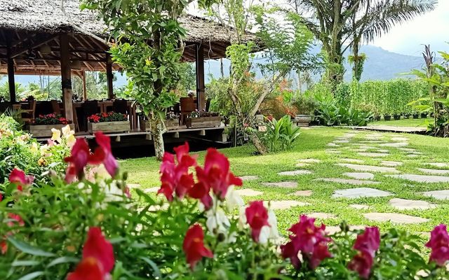 Gardenia Country Inn