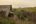 Jeeva Beloam Beach Camp bungalow surrounded by wild brush Lombok Indonesia