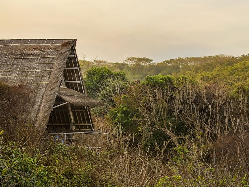 Jeeva Beloam Beach Camp bungalow surrounded by wild brush Lombok Indonesia