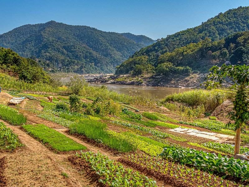 Gardens and hillsides at Sanctuary Pakbeng Lodge