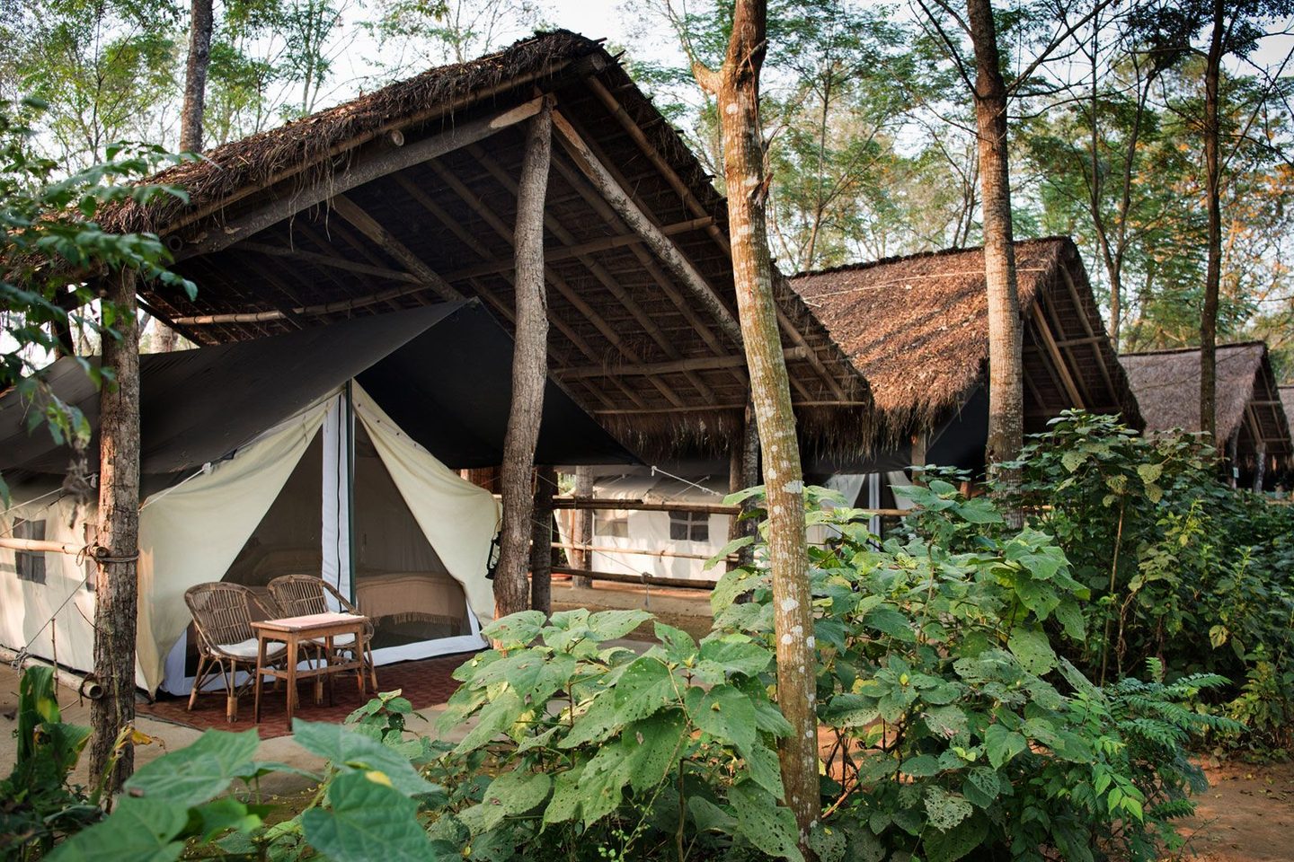 Camp from outside at Tiger Tops Tharu Lodge