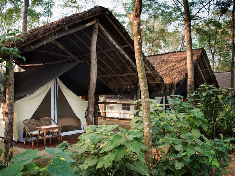Camp from outside at Tiger Tops Tharu Lodge
