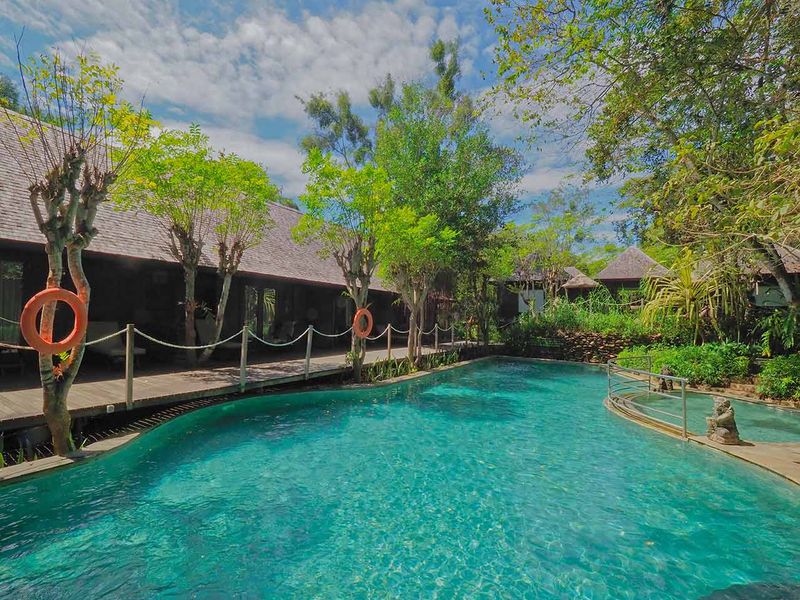 Pool at The Menjangan Bali