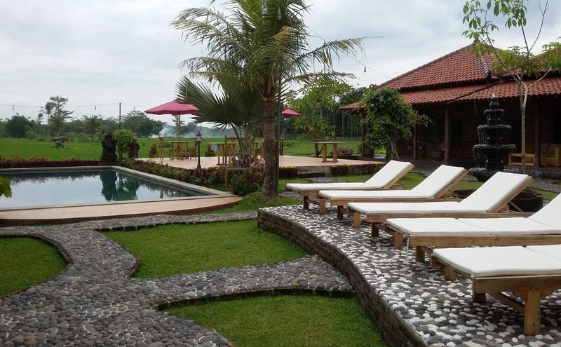 Outdoor pool with loungers