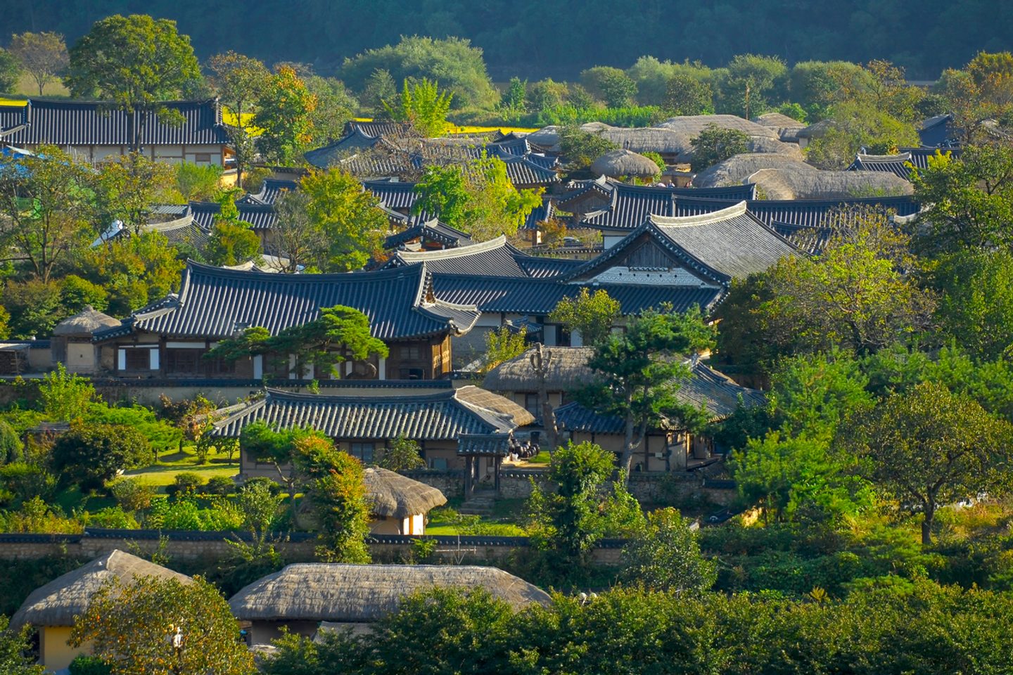 south korea roofs