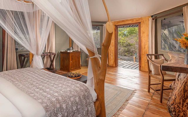 Leopard Safaris Yala KK Collection