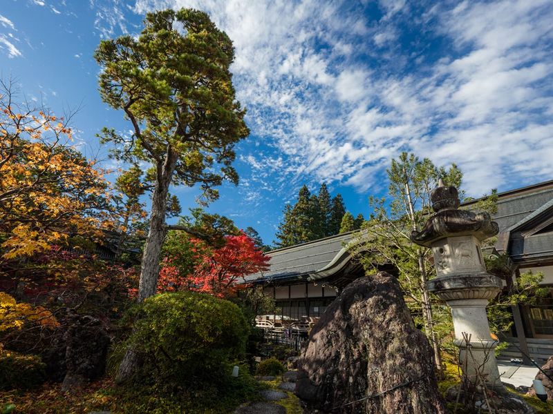 Trees and blue sky at Eko-in
