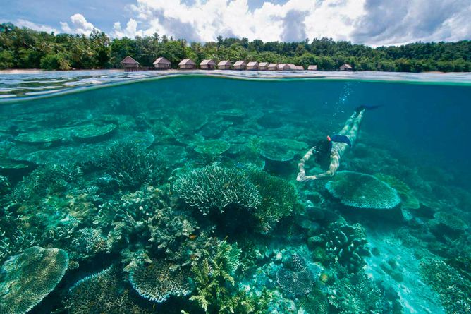 Snorkelling