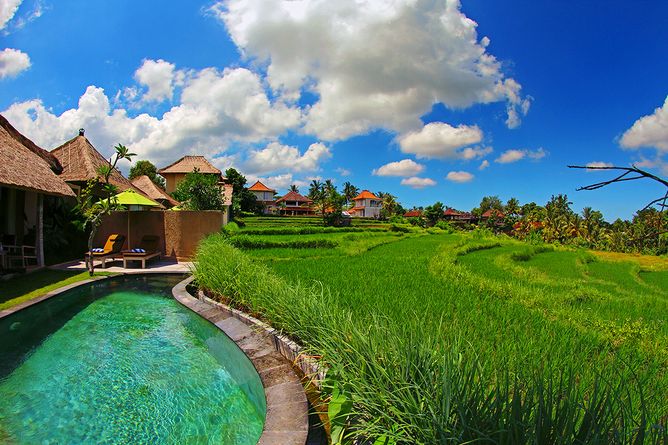 Rice terrace views