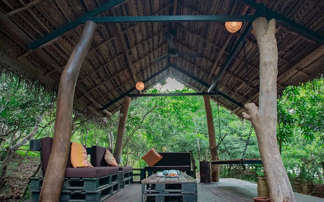 Backwaters Lodge