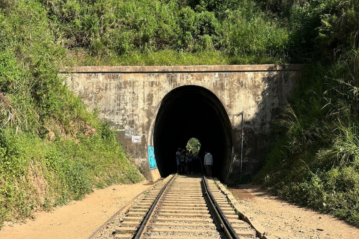 Rail tunnel on the Pekoe Trail