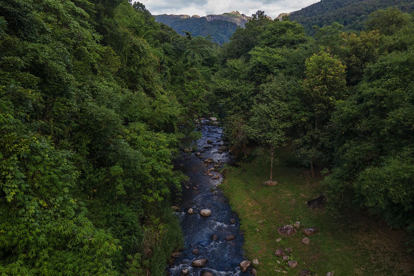 Traffic in Luang Prabang