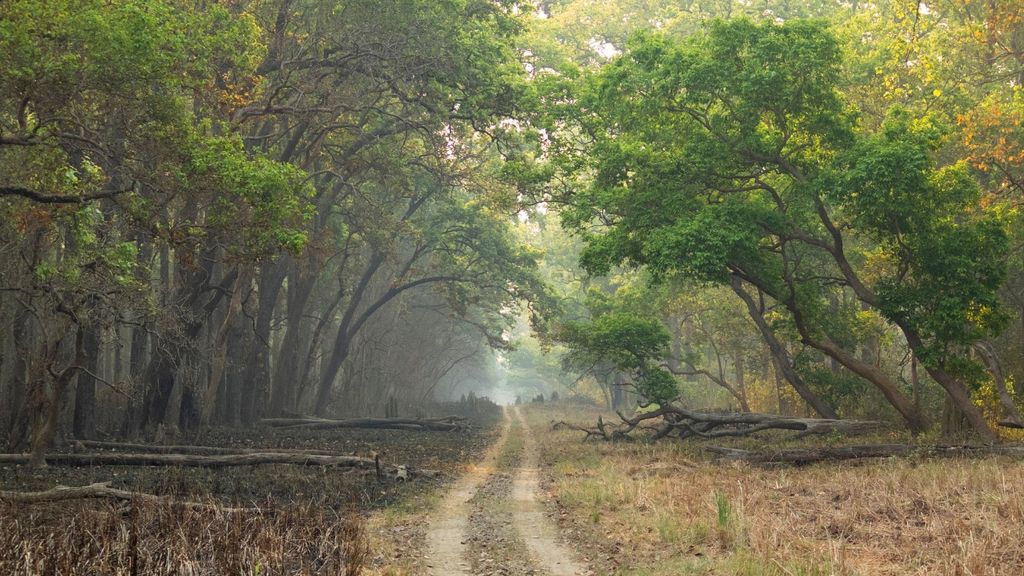 Dudhwa National Park Uttar Pradesh India