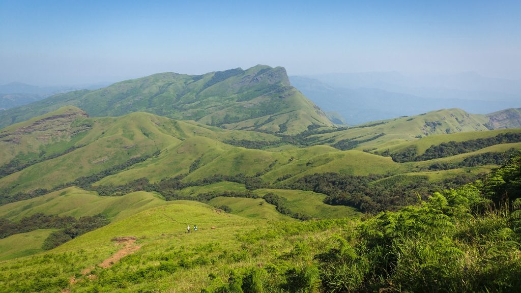 Coorg hills Karnataka India