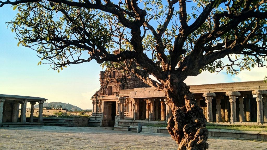 Hampi ruins and tree Karnataka