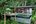 Ocean Pool View Suite