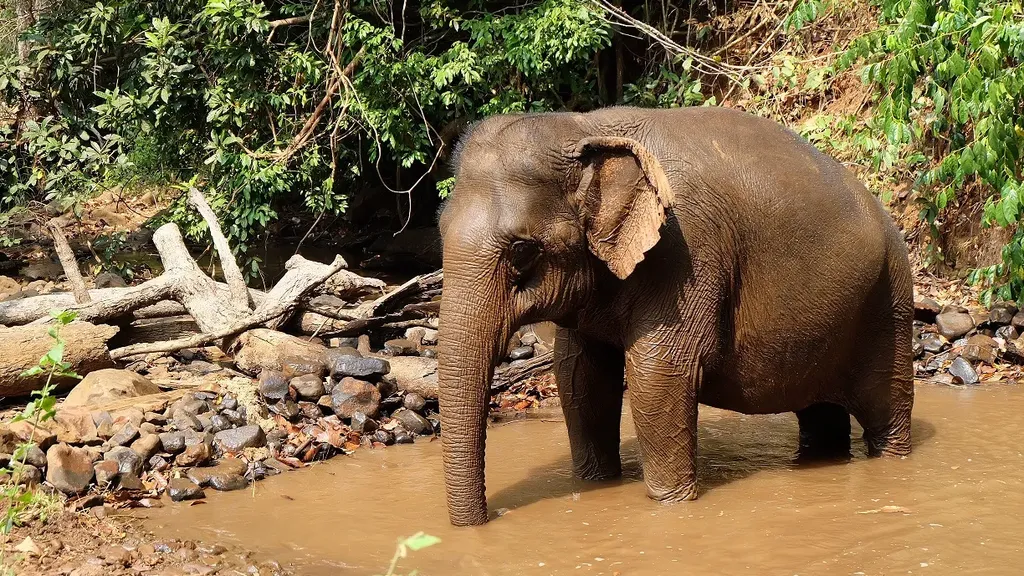 Mondulkiri