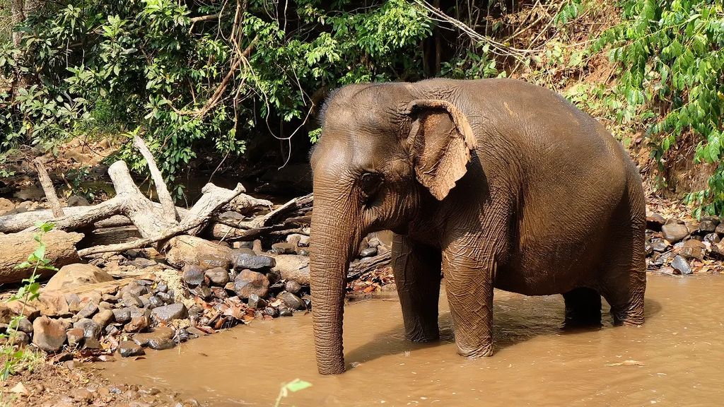 Mondulkiri