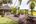 a wooden deck with tables and chairs in the middle of a tropical area