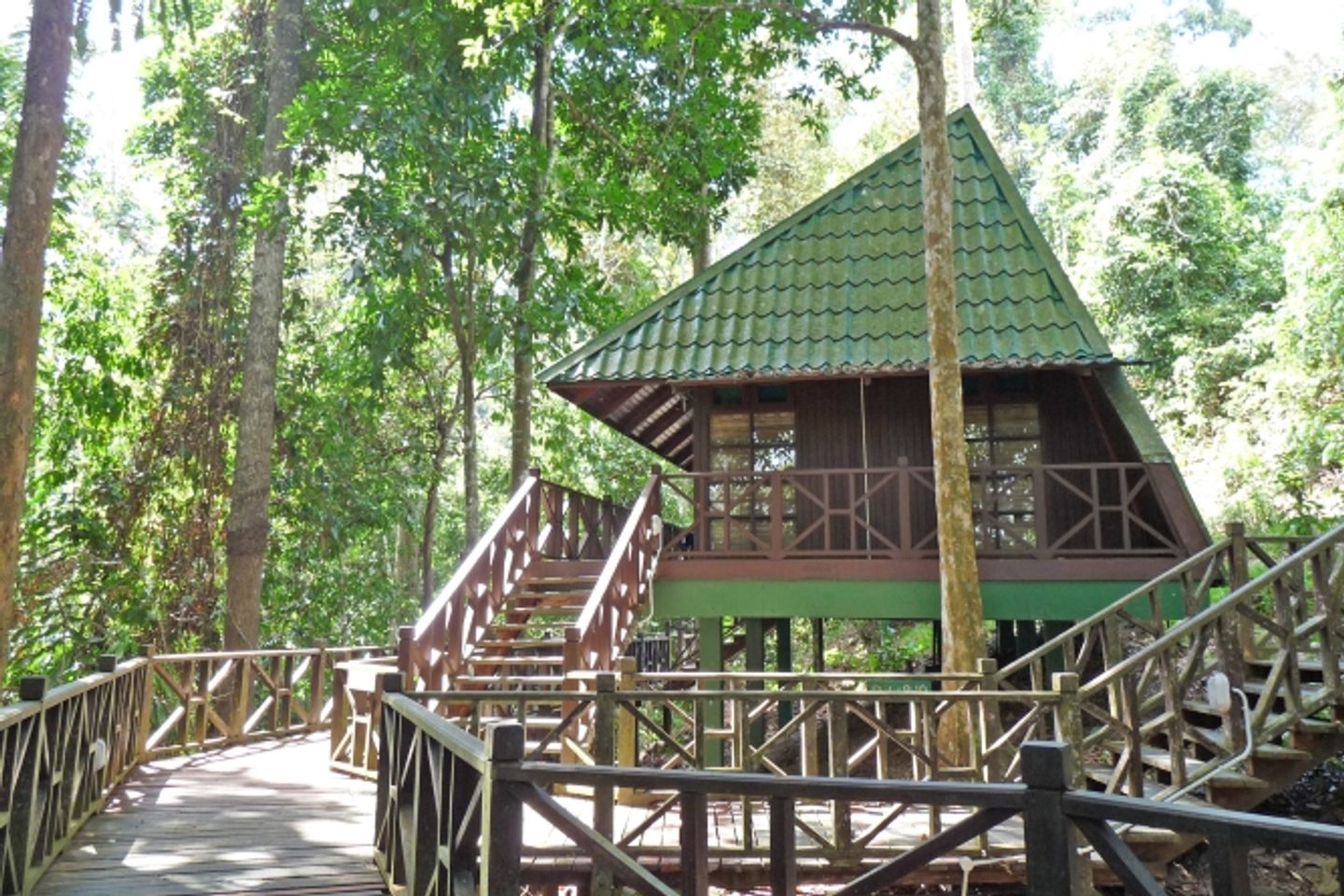Cabin in the jungle at Tabin Wildlife Resort