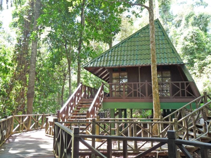 Cabin in the jungle at Tabin Wildlife Resort