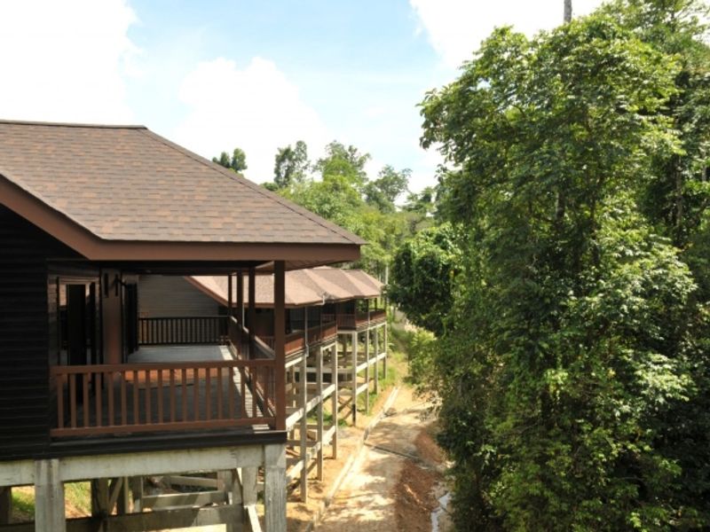 Chalets facing the jungle at MY Nature Resort