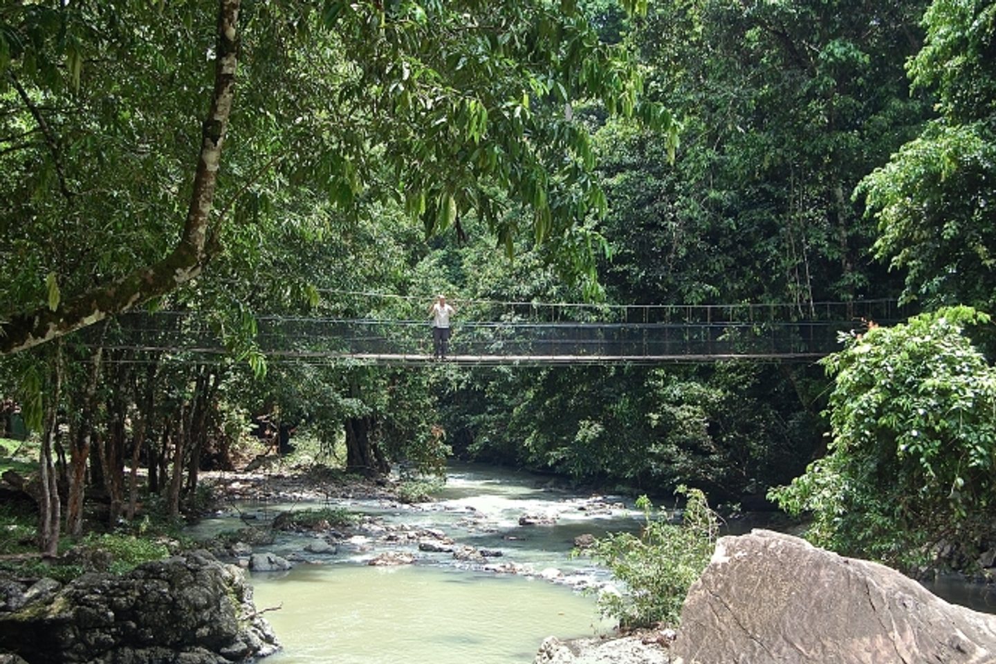 Bridge over the river at Tabin Wildlife Resort
