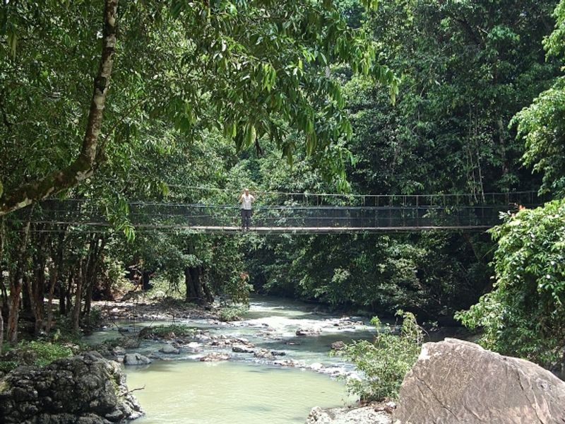 Bridge over the river at Tabin Wildlife Resort