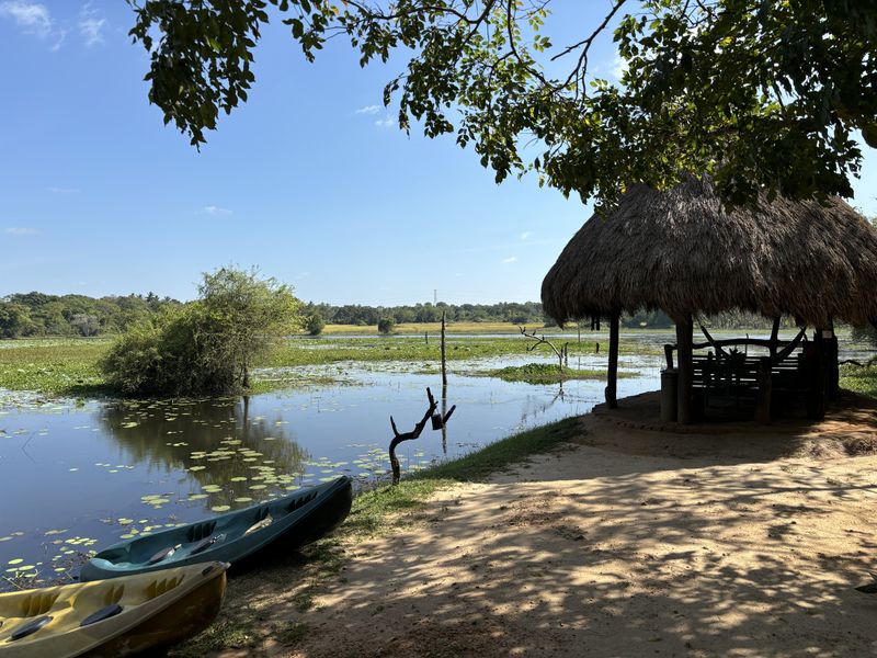 Lake and canoes at The Mudhouse