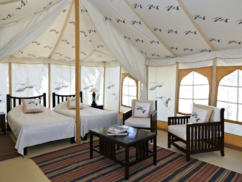 Luxury tent at Ramathra Fort