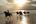a group of people riding horses on a beach