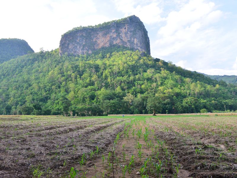 rural thailand