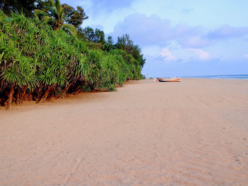 A deserted Sri Lankan beach