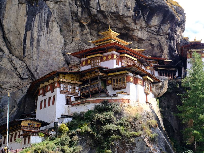 Tigers nest