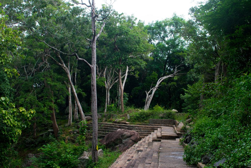 Ritigala forest