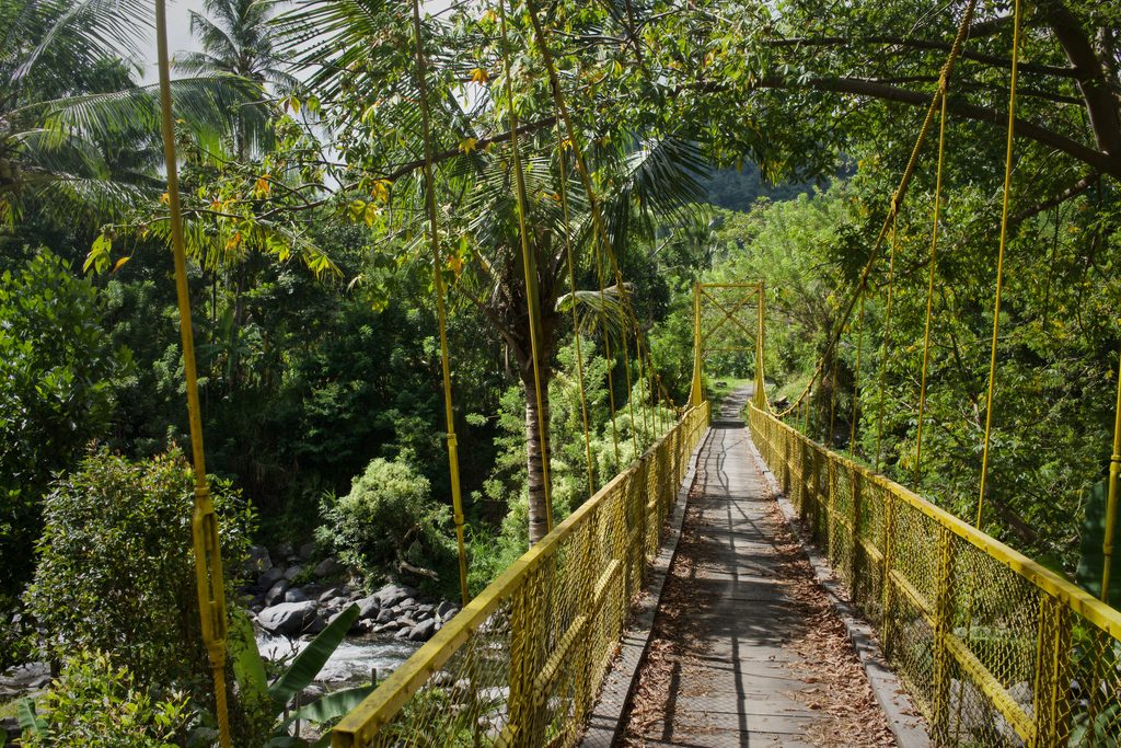 Bridge over the forest, Sidemen, Bali