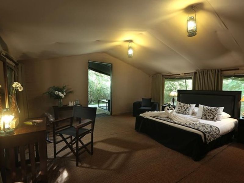 Leopard Trails Tent Interior