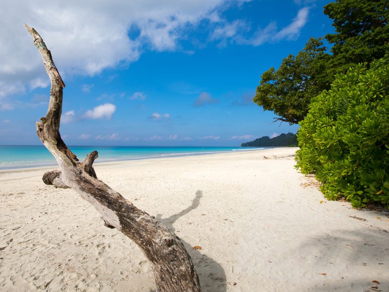 Beach with swing