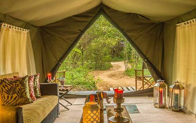 Mahoora Tented Camp - Wilpattu