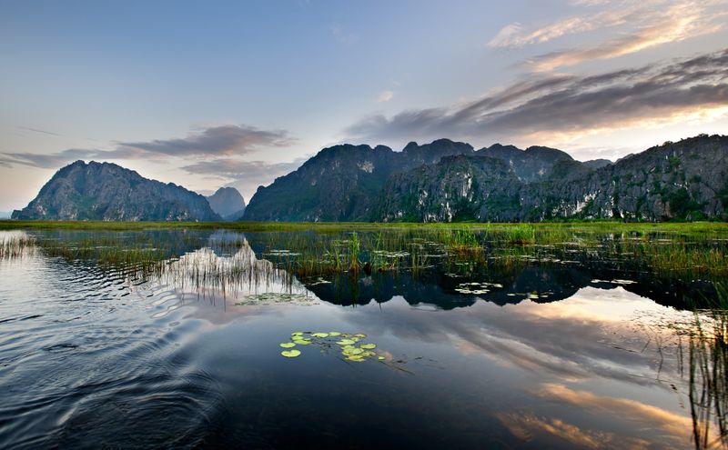 Van Long wetland