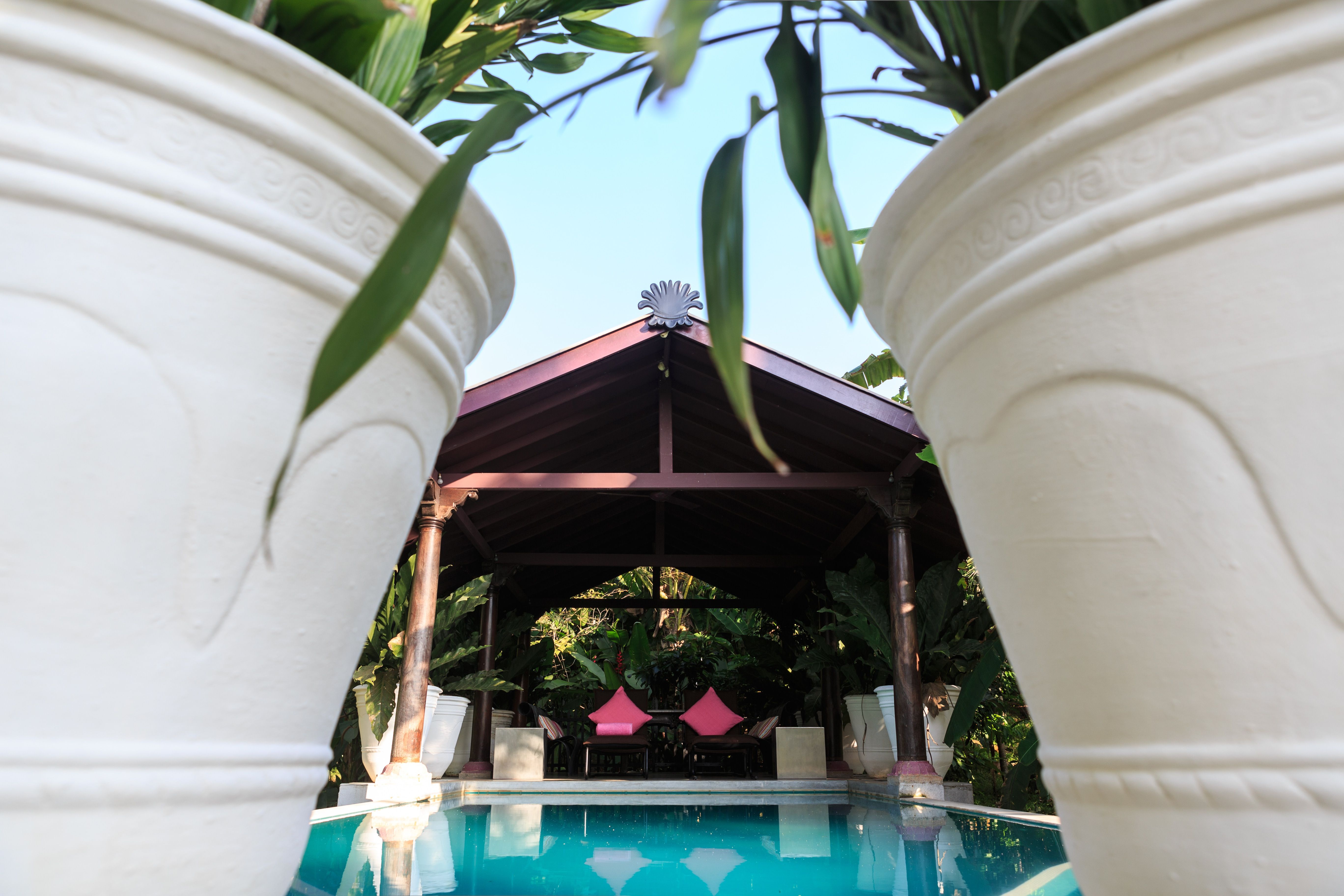 Pool & Pavilion