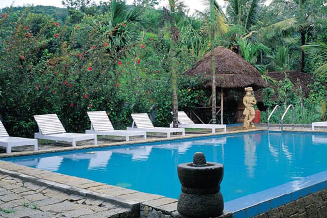 Outdoor pool and terrace